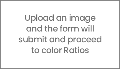 Upload an image and the form will submit and proceed to color Ratios